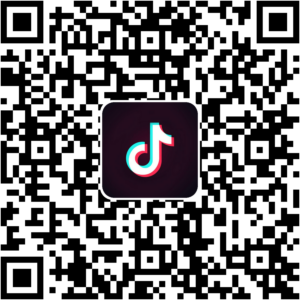抖音小程序